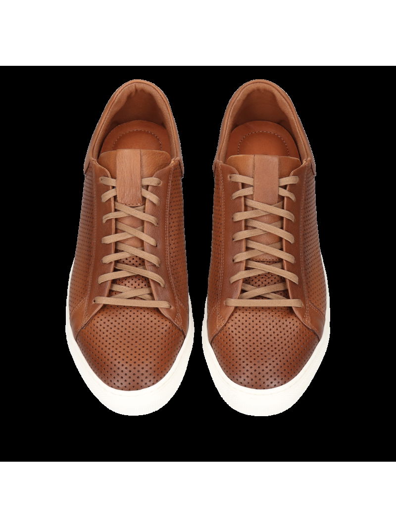 Brown elevator sneakers Xavier + 6 cm, Conhpol Dynamic , SH2674-01 ...