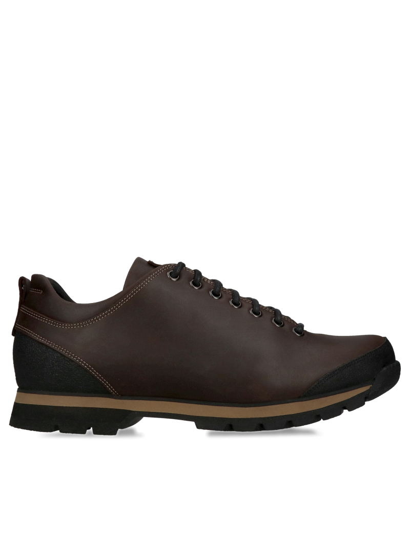 Men's winter trekking boots, men's mountain boots