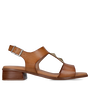 Brązowy
